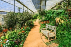Indoor Garden