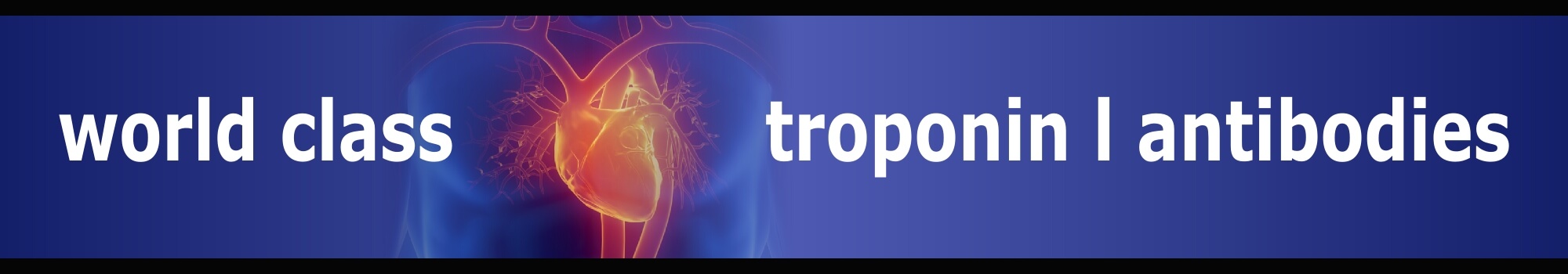 Troponin_V1_FINAL28Aug15