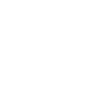 Acerinox_logo_wht2