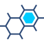 Molecular(1)