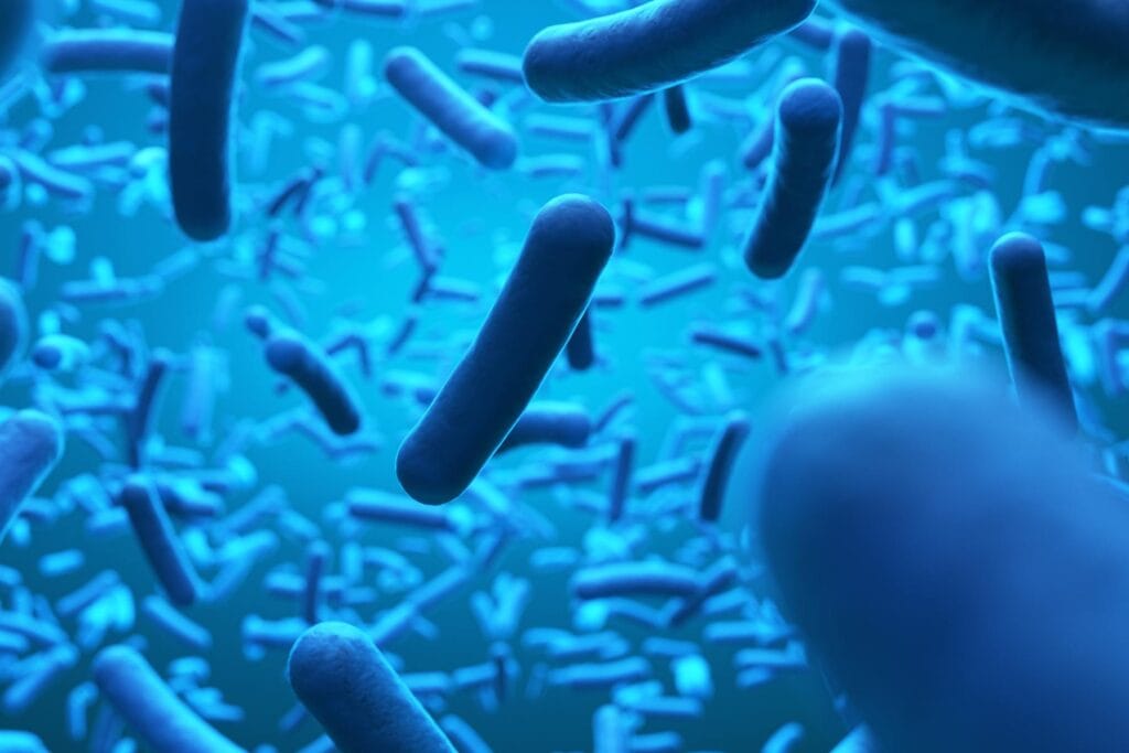 Bacillus