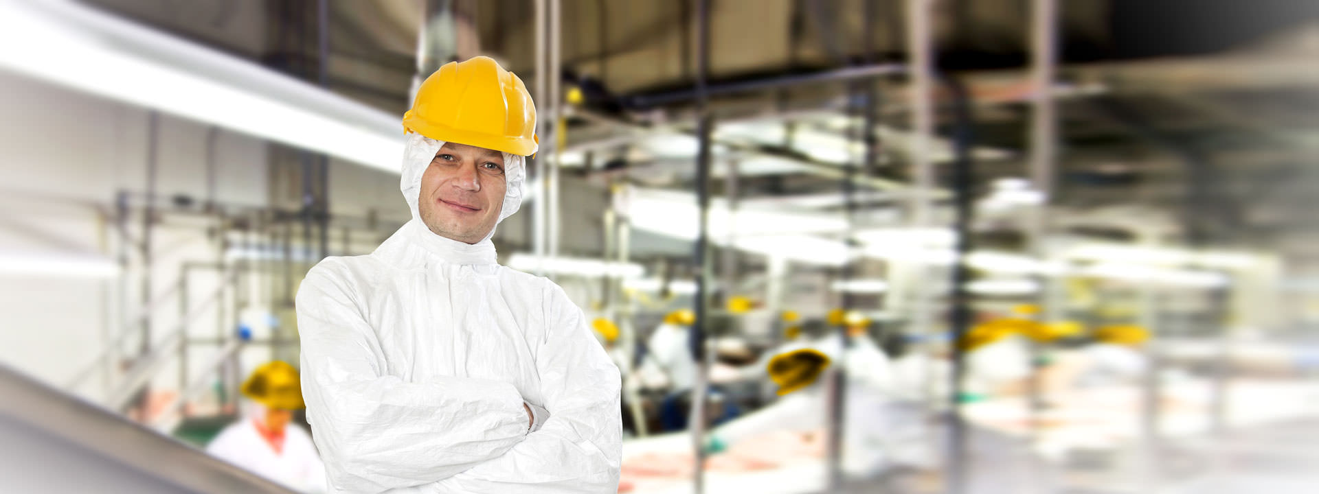 Slide-food_processing-bk