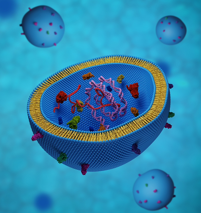 Exosome