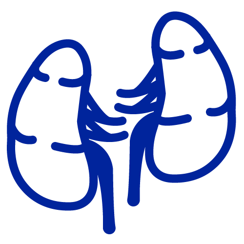 Kosmos for Nephrology