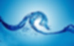 Water Quality