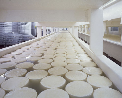 Dairy Flavor Selection
