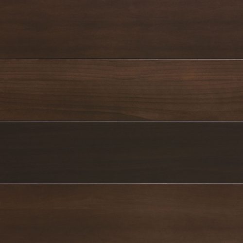 855221_Torrified