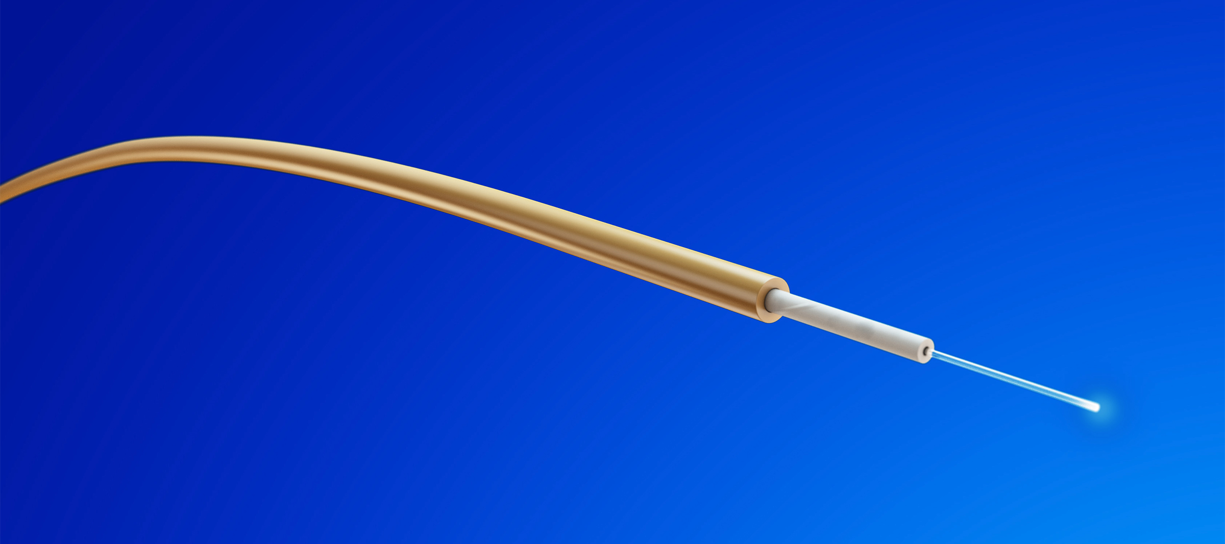 Fiber-optic-900-microns-image