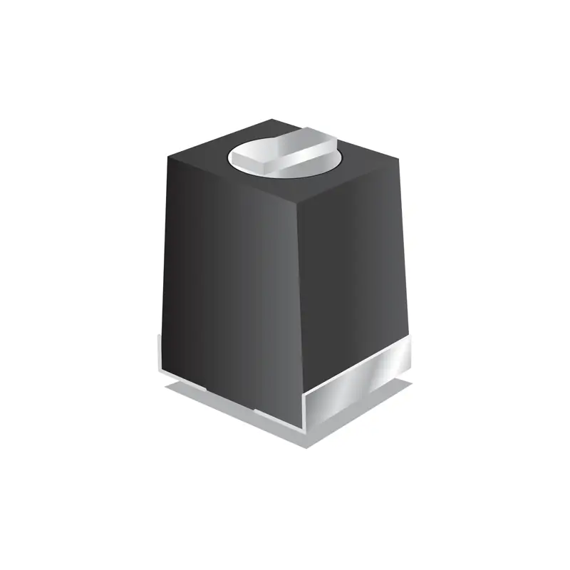 C31000-nt
