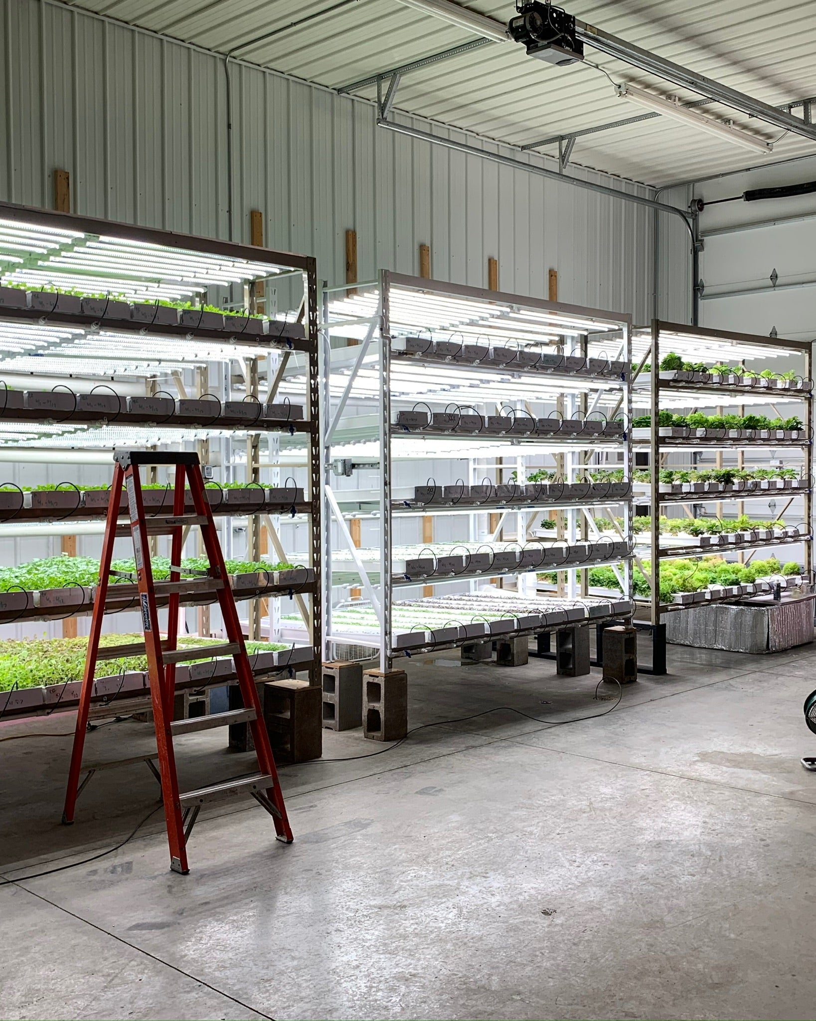 Urban Greens production facility