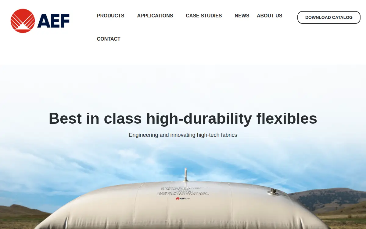 Homepage of Aef-performance LLC