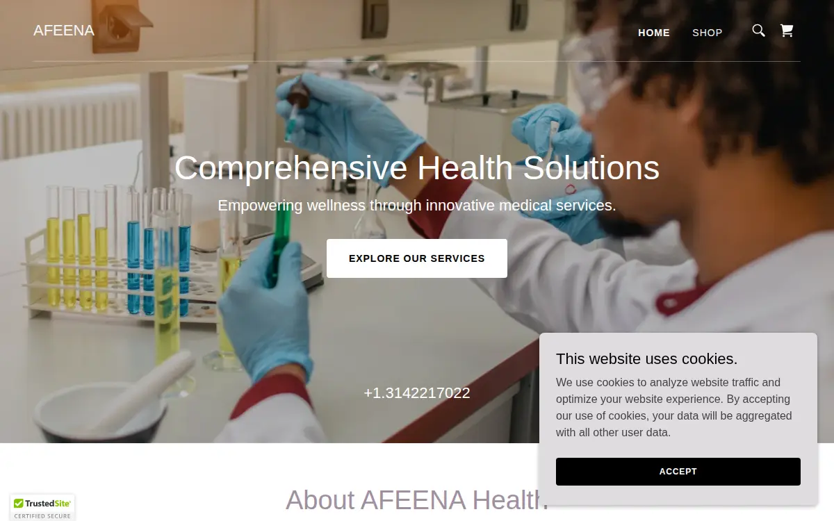 Homepage of A Fresh Start Emergency Network 1 LLC