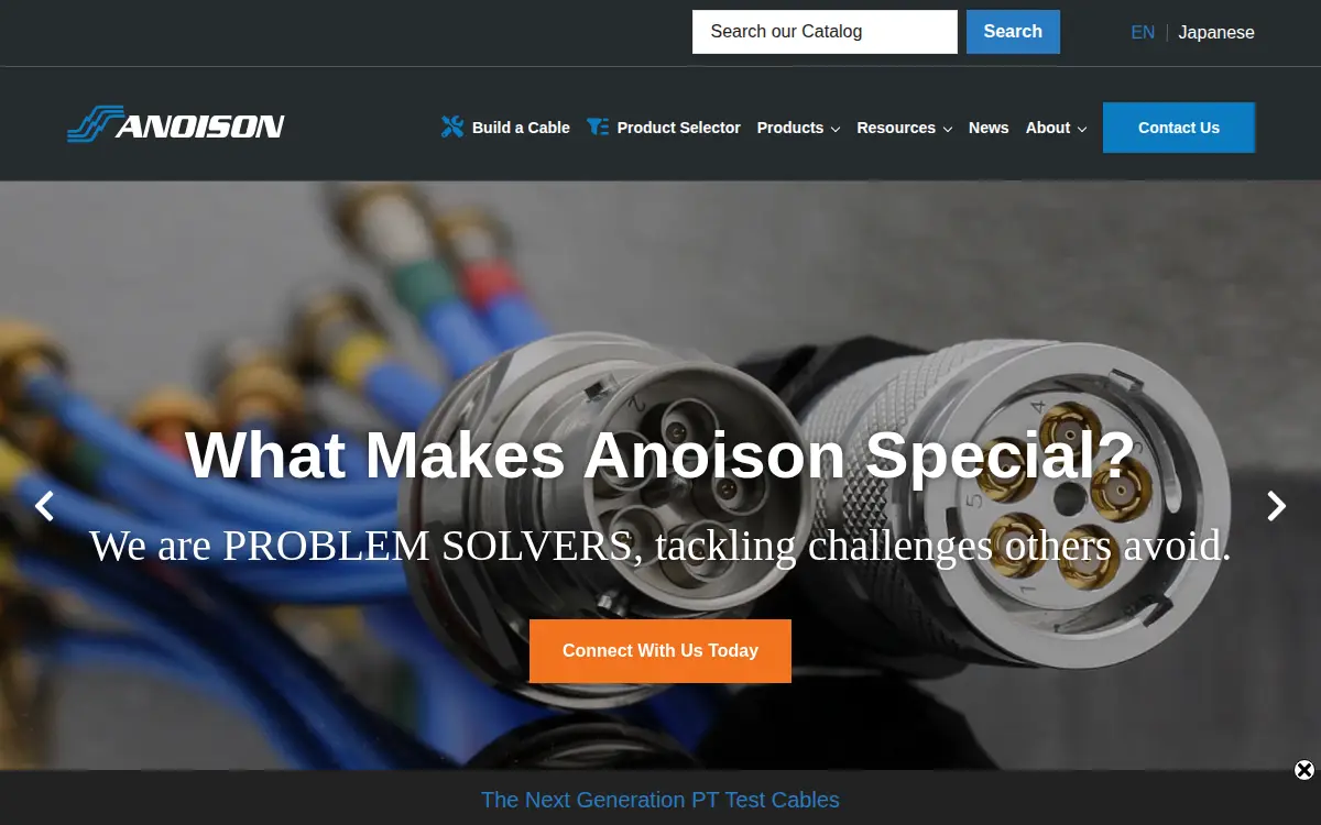 Homepage of Anoison Electronics, LLC