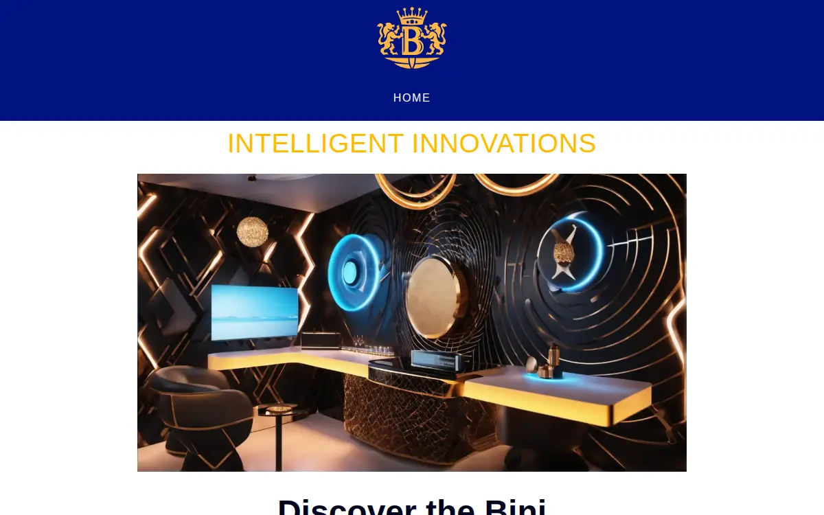 Homepage of Bini LLC