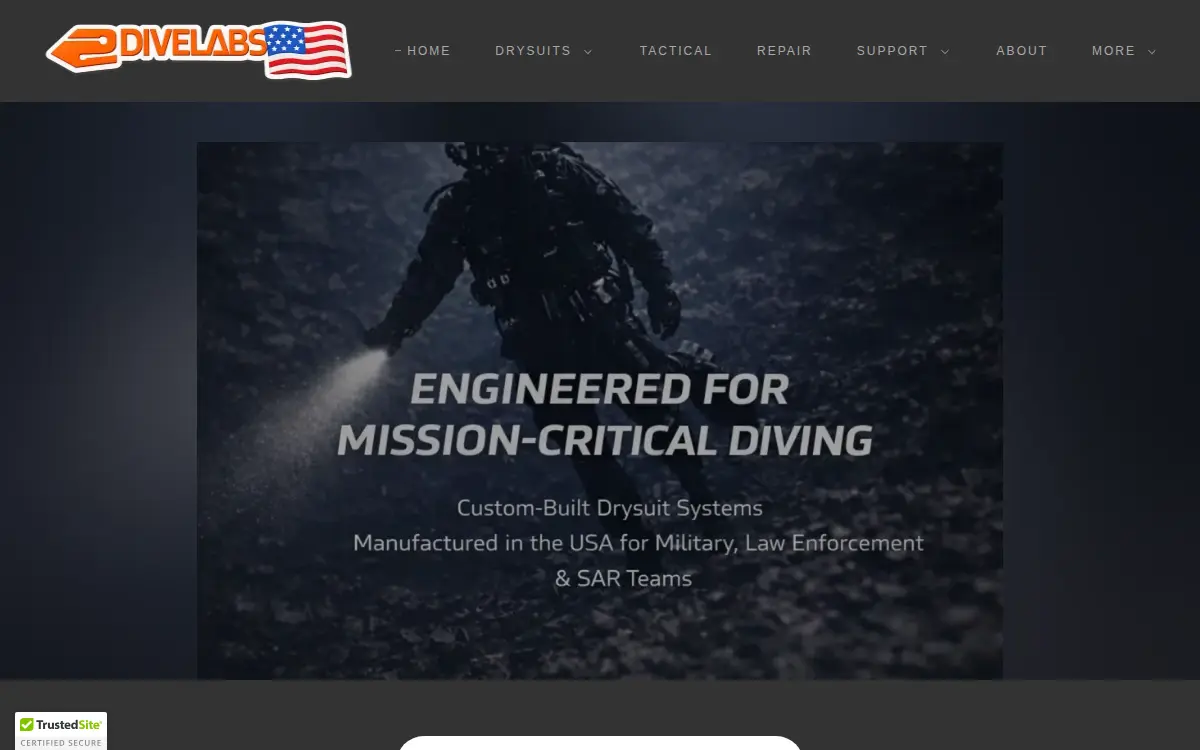 Homepage of Dive Labs LLC