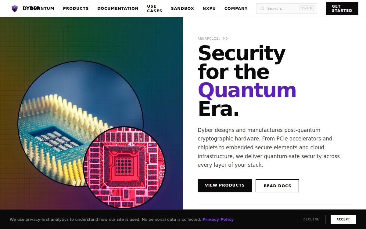 Homepage of Dyber, INC.