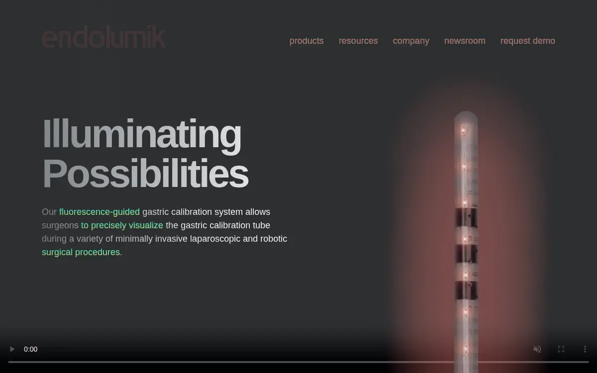Homepage of Endolumik, INC.