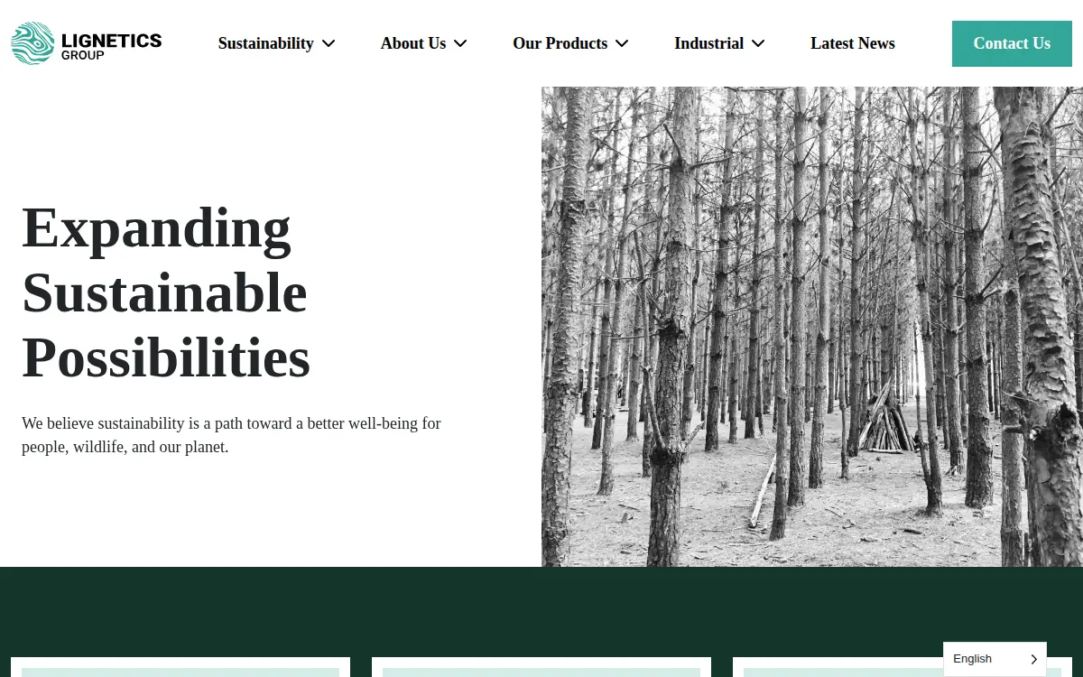 Homepage of Forest Energy Corporation