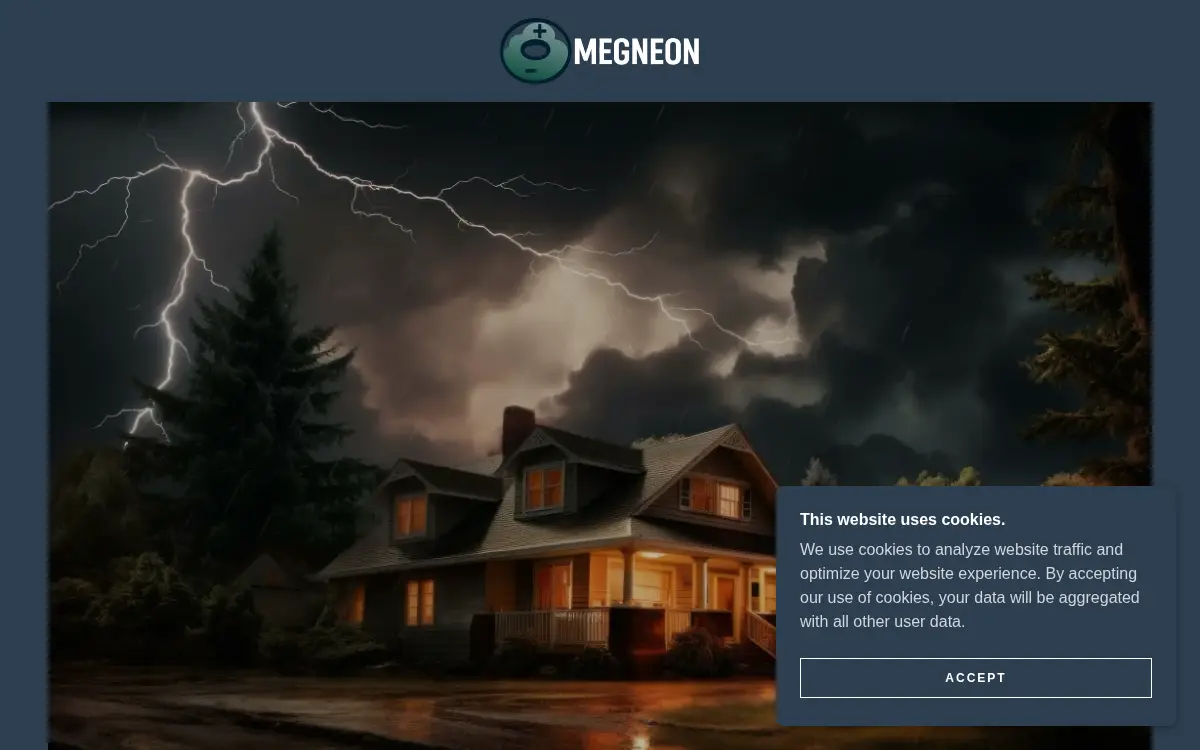 Homepage of Megneon LLC