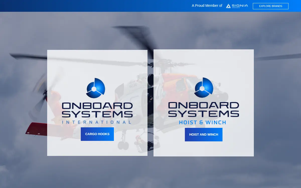 Homepage of Hornet Acquisitionco, LLC