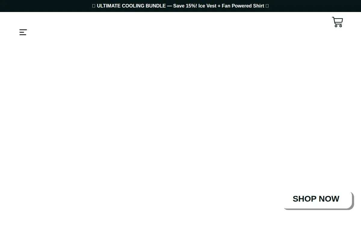 Homepage of Asami Business. LLC