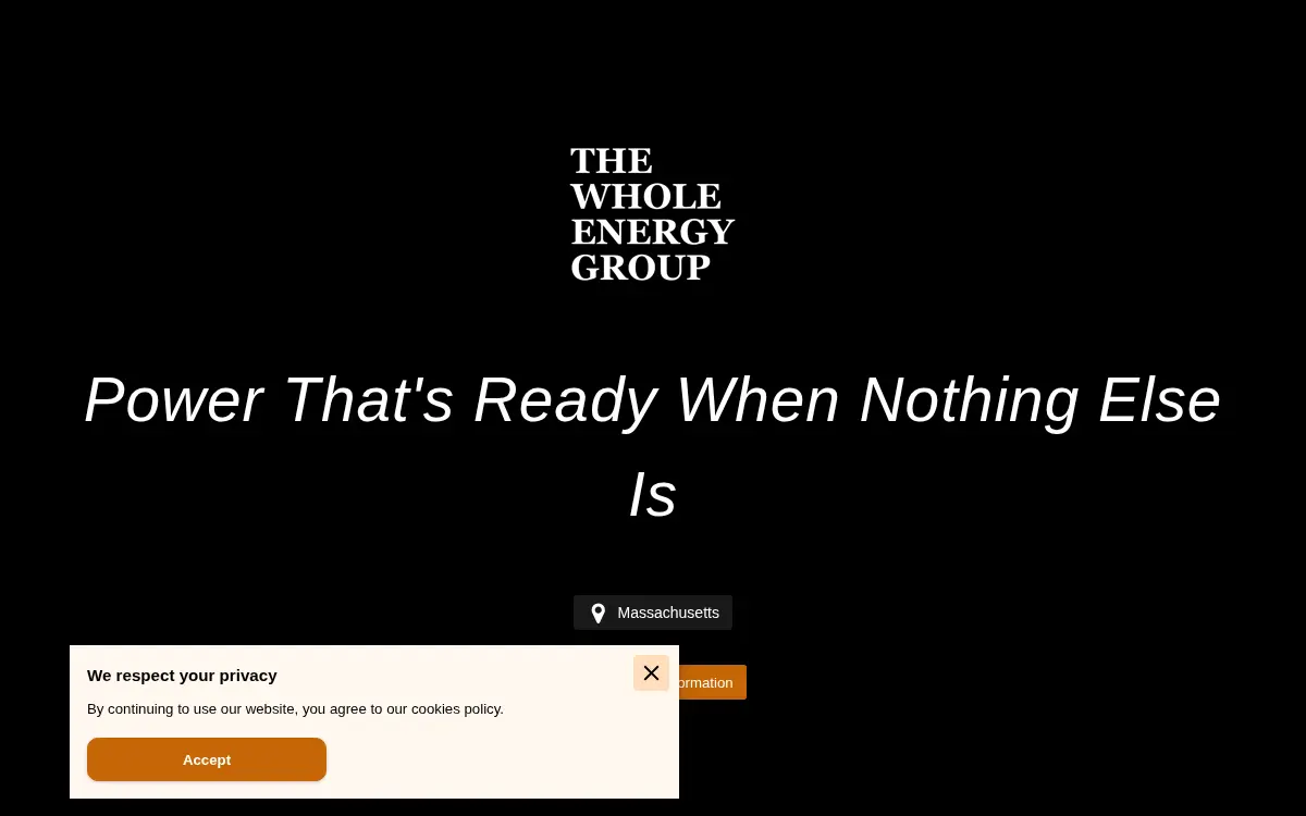 Homepage of The Whole Energy Group LLC