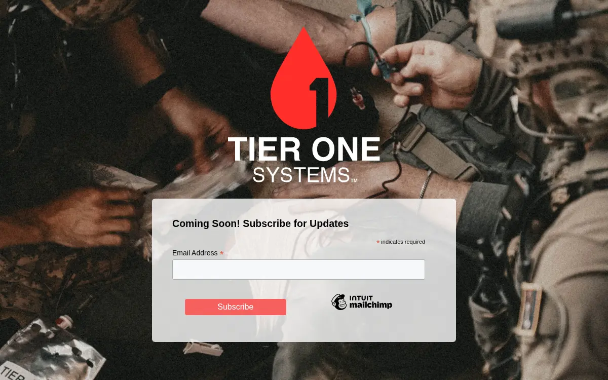 Homepage of Tier One Systems LLC