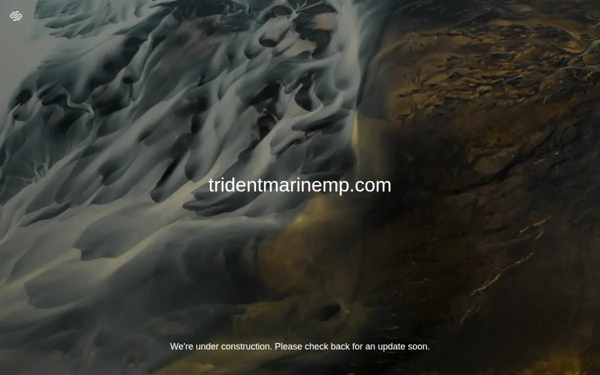 Homepage of Trident Marine, LLC