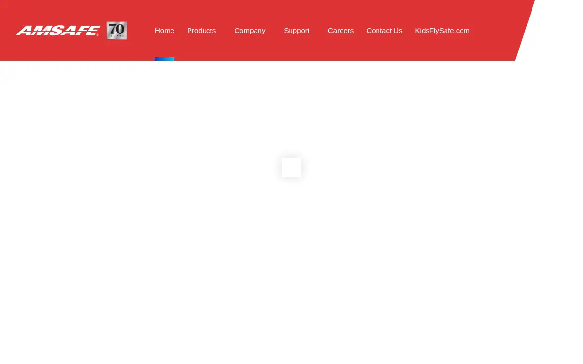 Homepage of Amsafe, INC.