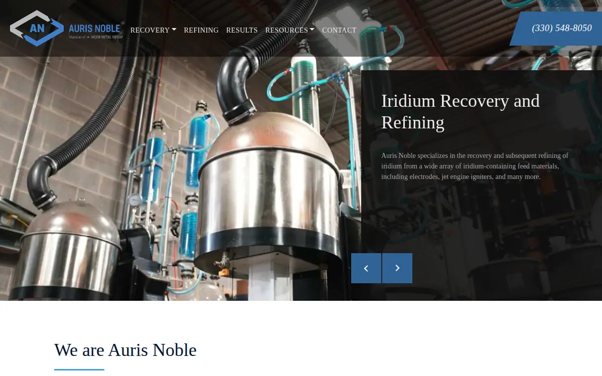 Homepage of Auris Noble LLC