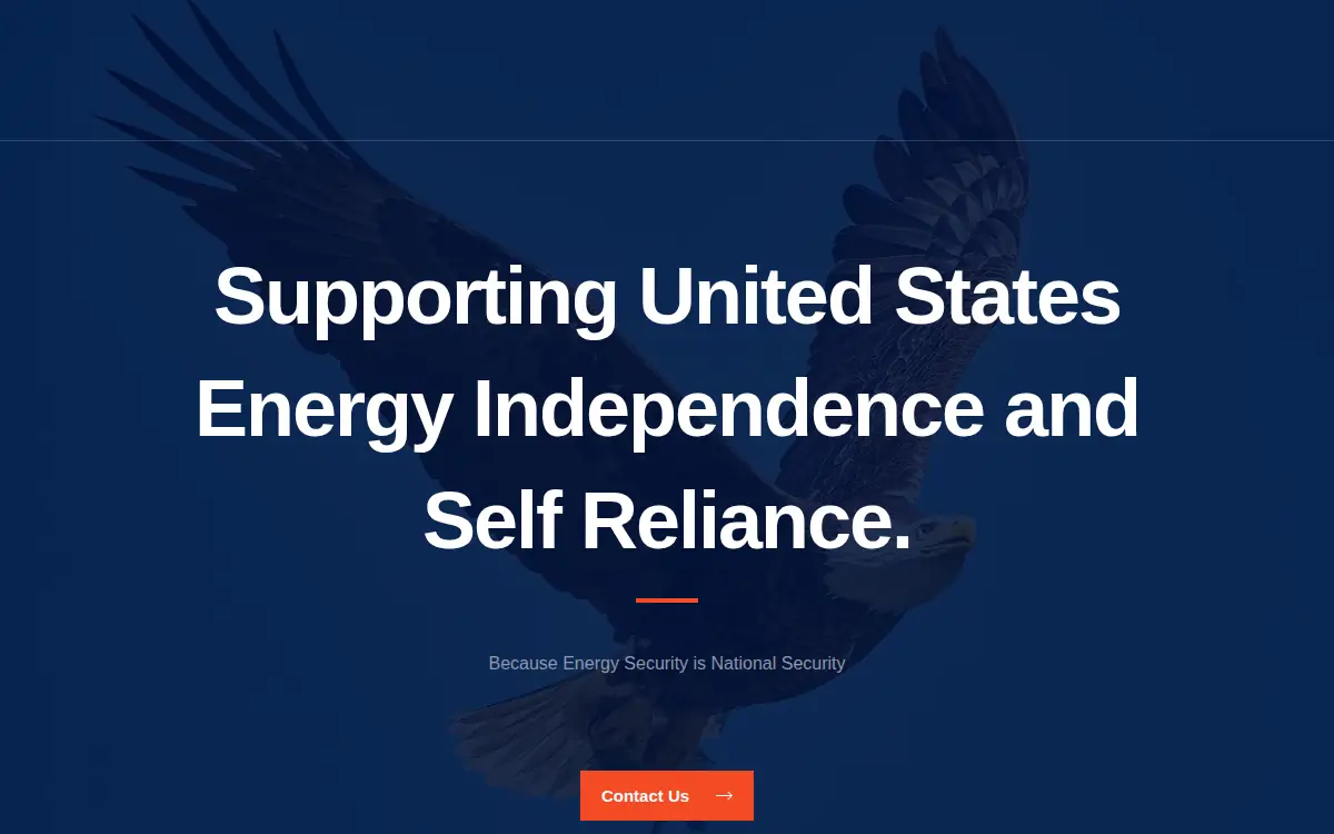 Homepage of Amerigem LLC