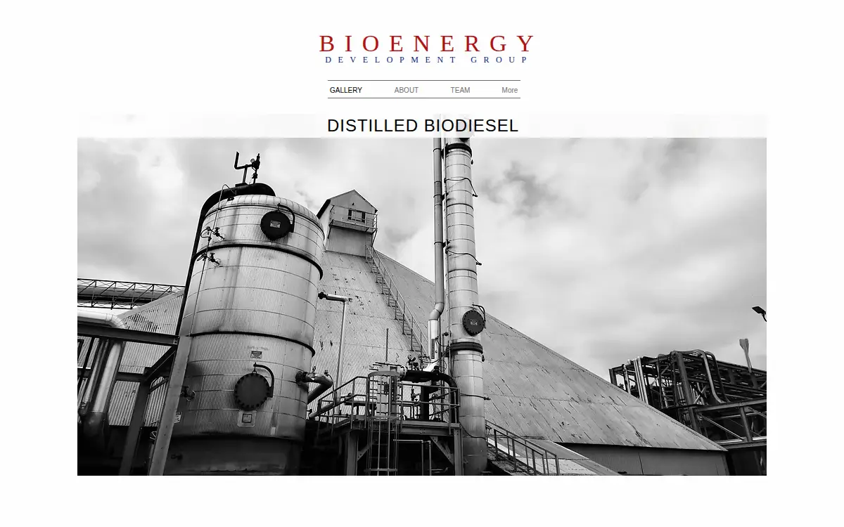 Homepage of Bioenergy Development Group LLC