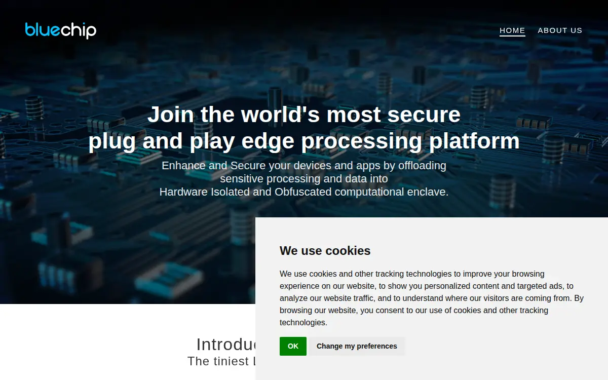 Homepage of Bluechip Systems LLC