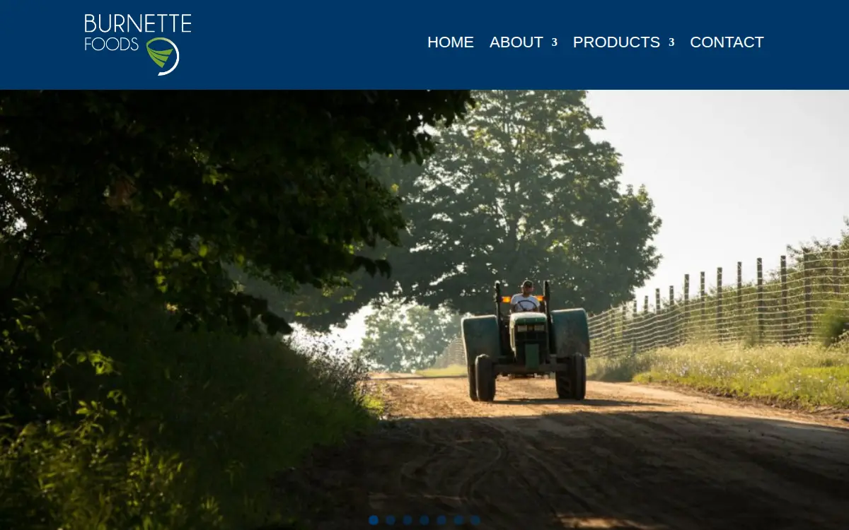 Homepage of Burnette Foods, INC.