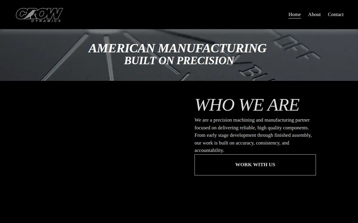 Homepage of Crowdynamics LLC
