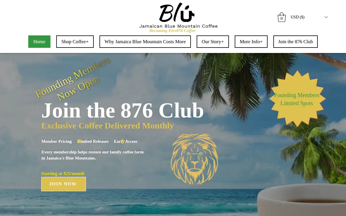 Homepage of Foreign Exchange Group LLC