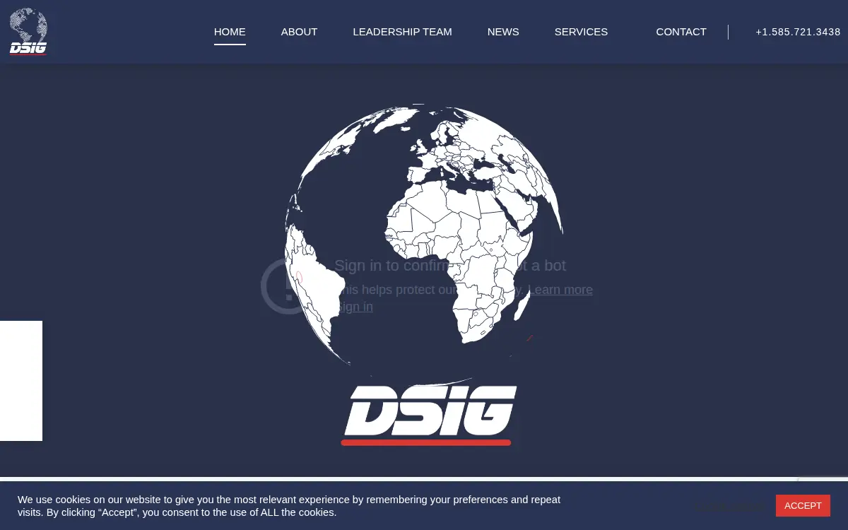 Homepage of Dsi Group INC