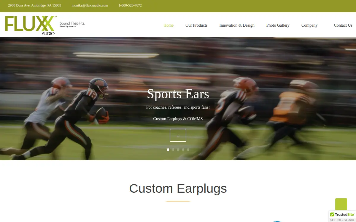 Homepage of Fluxx Audio INC