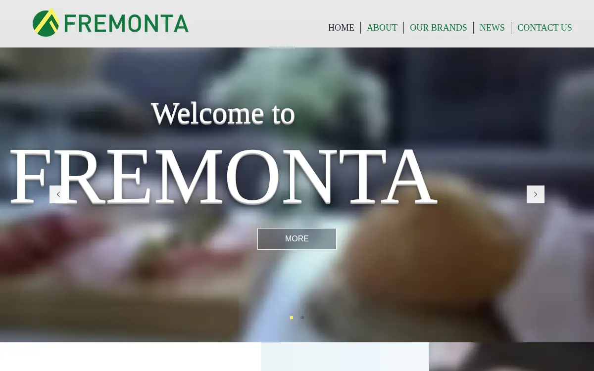 Homepage of Fremonta Corporation