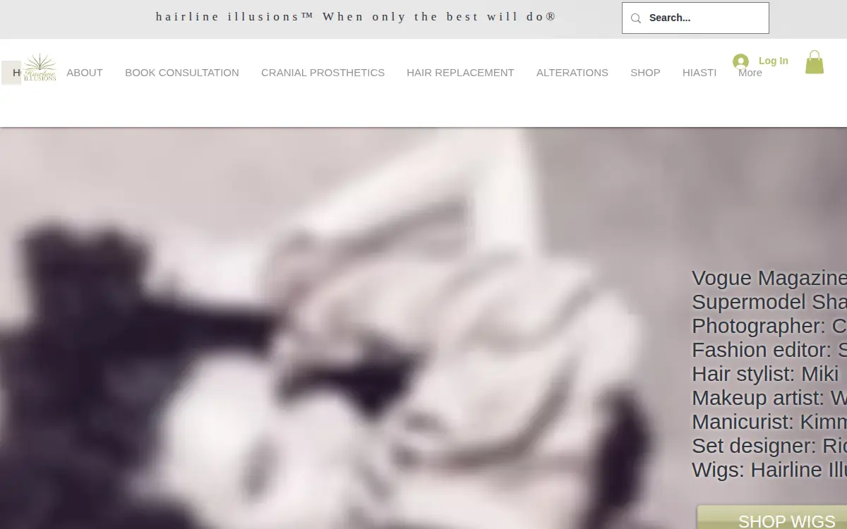 Homepage of Hairline Illusions, LLC