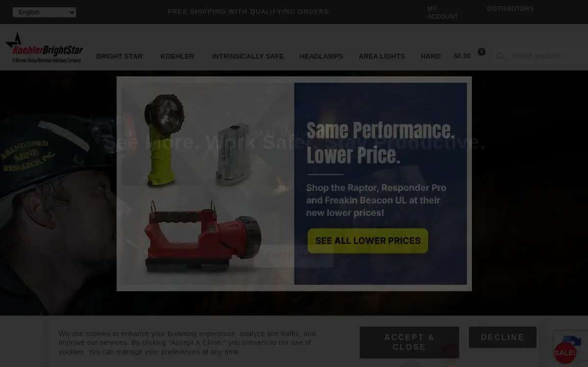 Homepage of Koehler-bright Star LLC