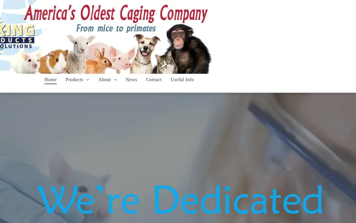 Homepage of Research Solutions INC