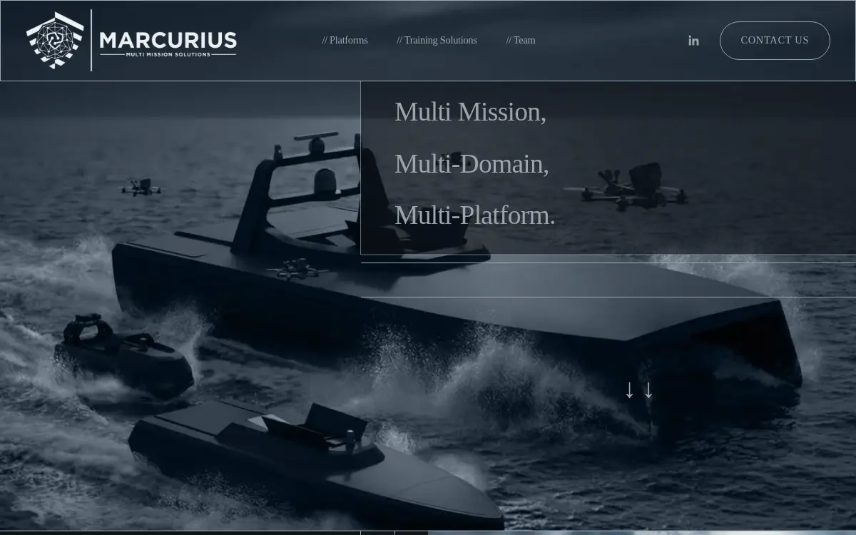 Homepage of Marcurius U.s., INC.
