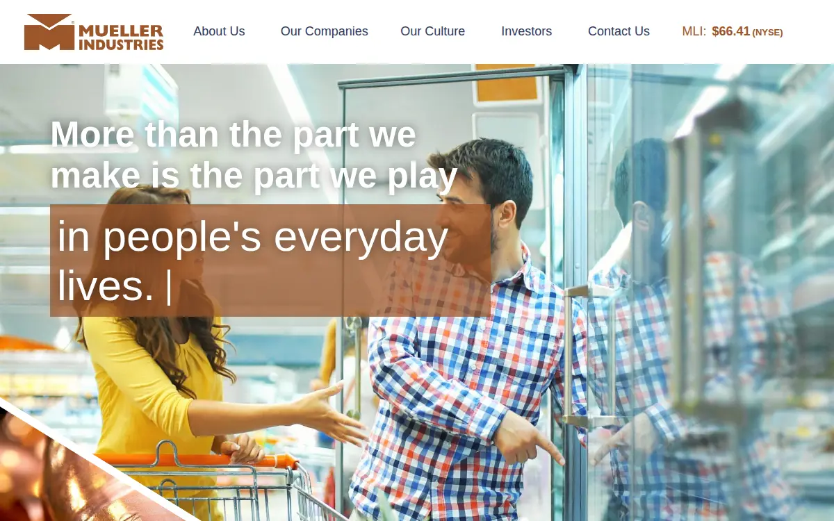 Homepage of Micro Gauge, INC