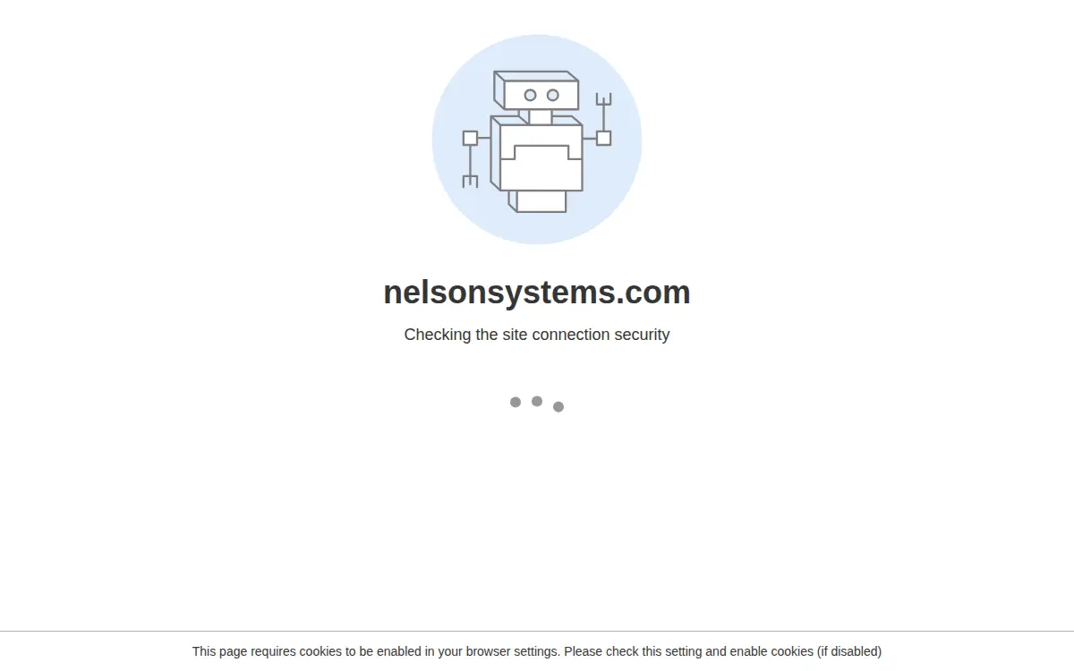 Homepage of Nelson Systems, INC.