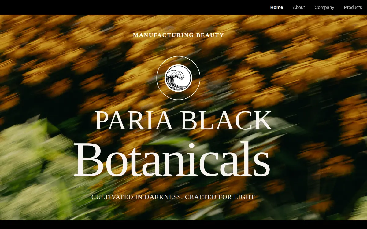 Homepage of Paria Black LLC