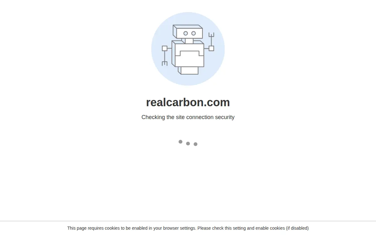 Homepage of Real Carbon INC.