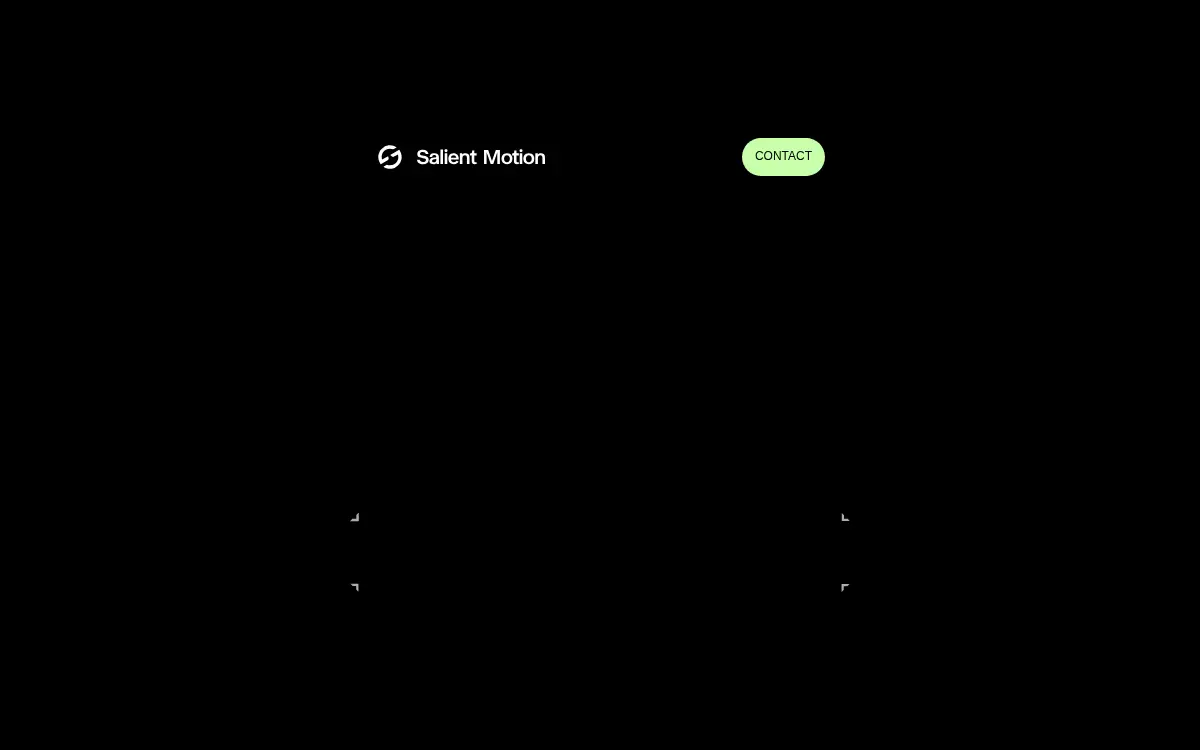 Homepage of Salient Motion INC