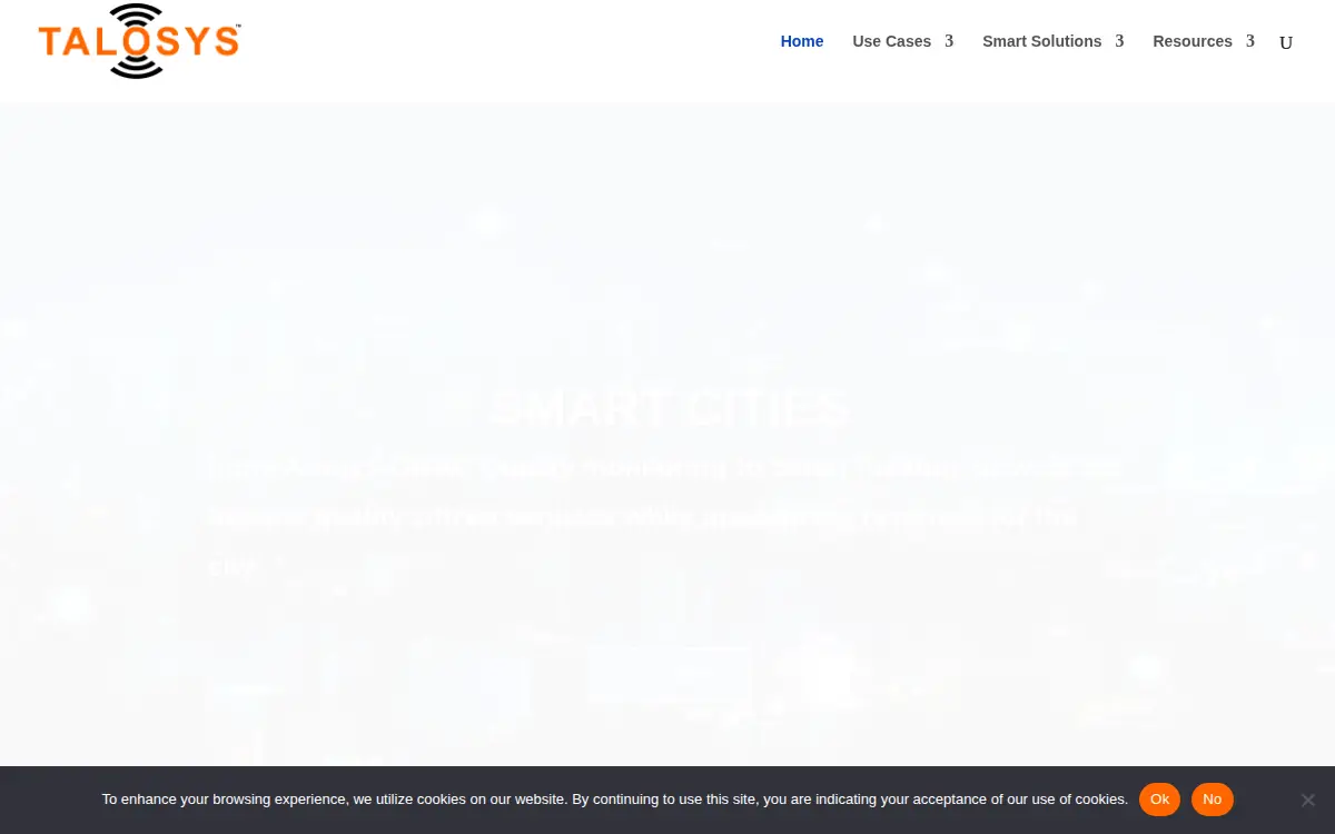 Homepage of Talosys INC