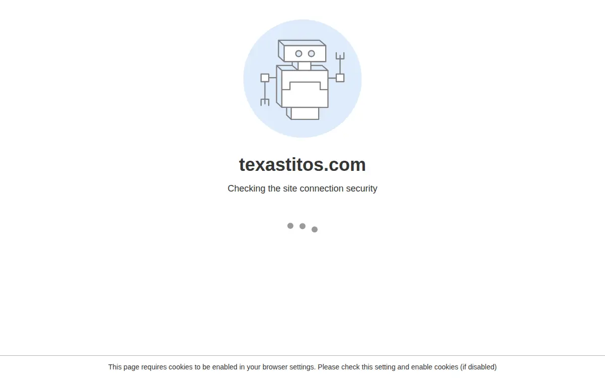 Homepage of Texas Tito's, INC.